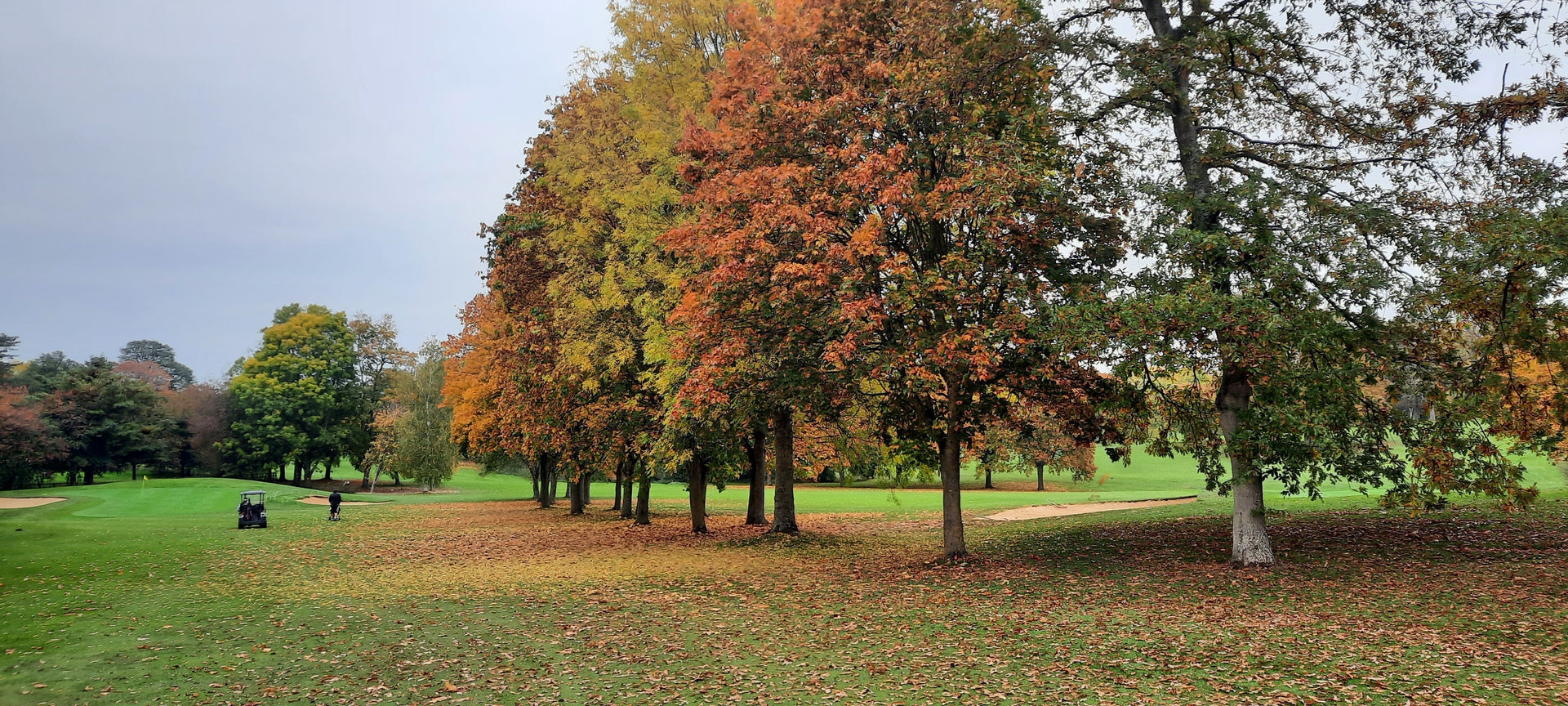 Which colour golf ball is best for UK Autumn golf